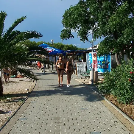 Διαμέρισμα Ivana *
