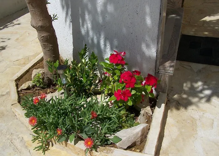 Apartman Ivana