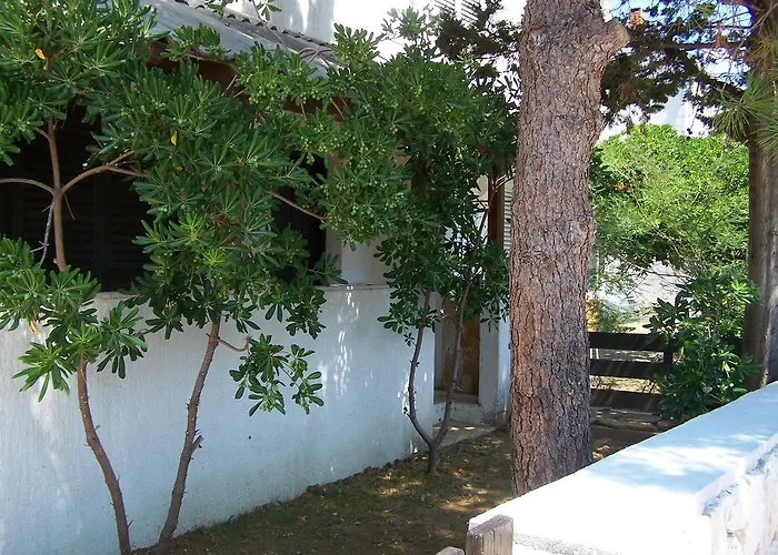 Apartman Ivana *