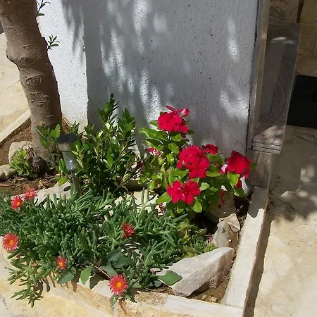 Apartamento Ivana
