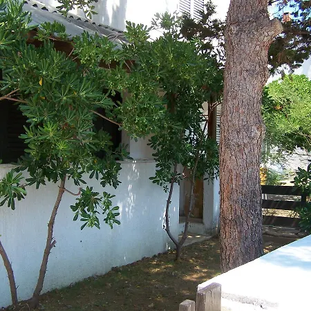 Apartman Ivana *